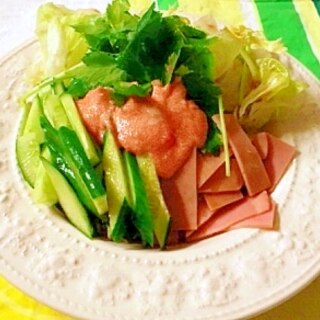 野菜たっぷり！明太子ソースで食べるサラダそうめん。
